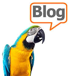 Blog abc-perroquet